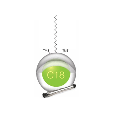 Kinetex 2.6 &micro;m C18 product photo Front View L-internal