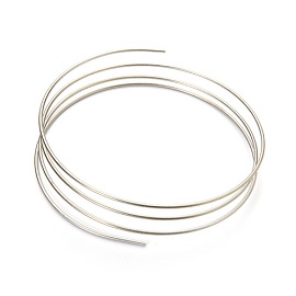 SS Tubing, 65cm OD1/16 Inch ID 0.005 Inch product photo