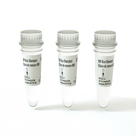 Molecular Weight Sizing Standard - 3 Pack foto do produto
